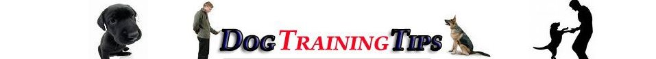 DOG TRAINING TIPS