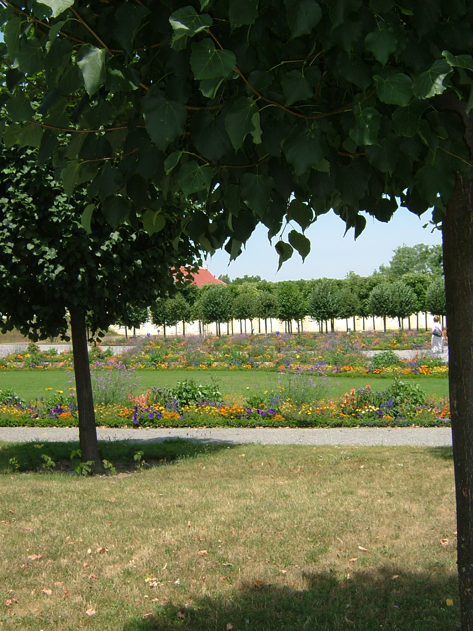 [DSCF1427.jpg]