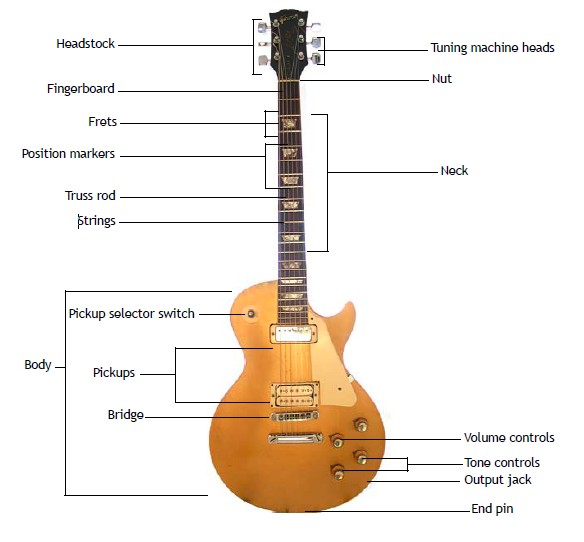 Amazing Diagram Of Electric Guitar Gallery - Everything You Need to ... Amazing Diagram Of Electric Guitar Gallery - Everything You Need to ...