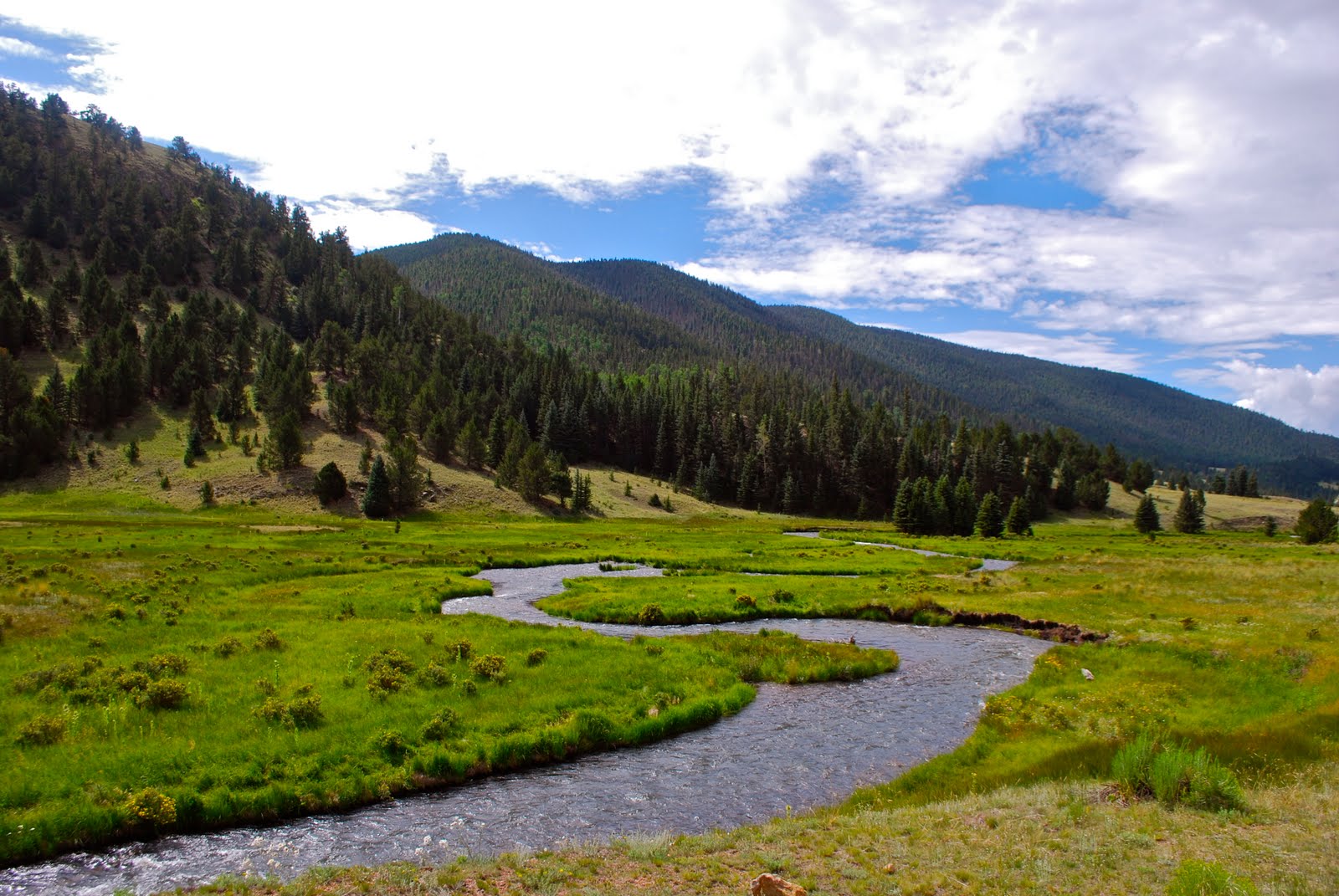 Valle Vidal Carson National Forest New Mexico Berge