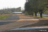 Facing north on the west side of the Lake Elberta Park trail near the Lake Bradford Road entrance. Trail photo