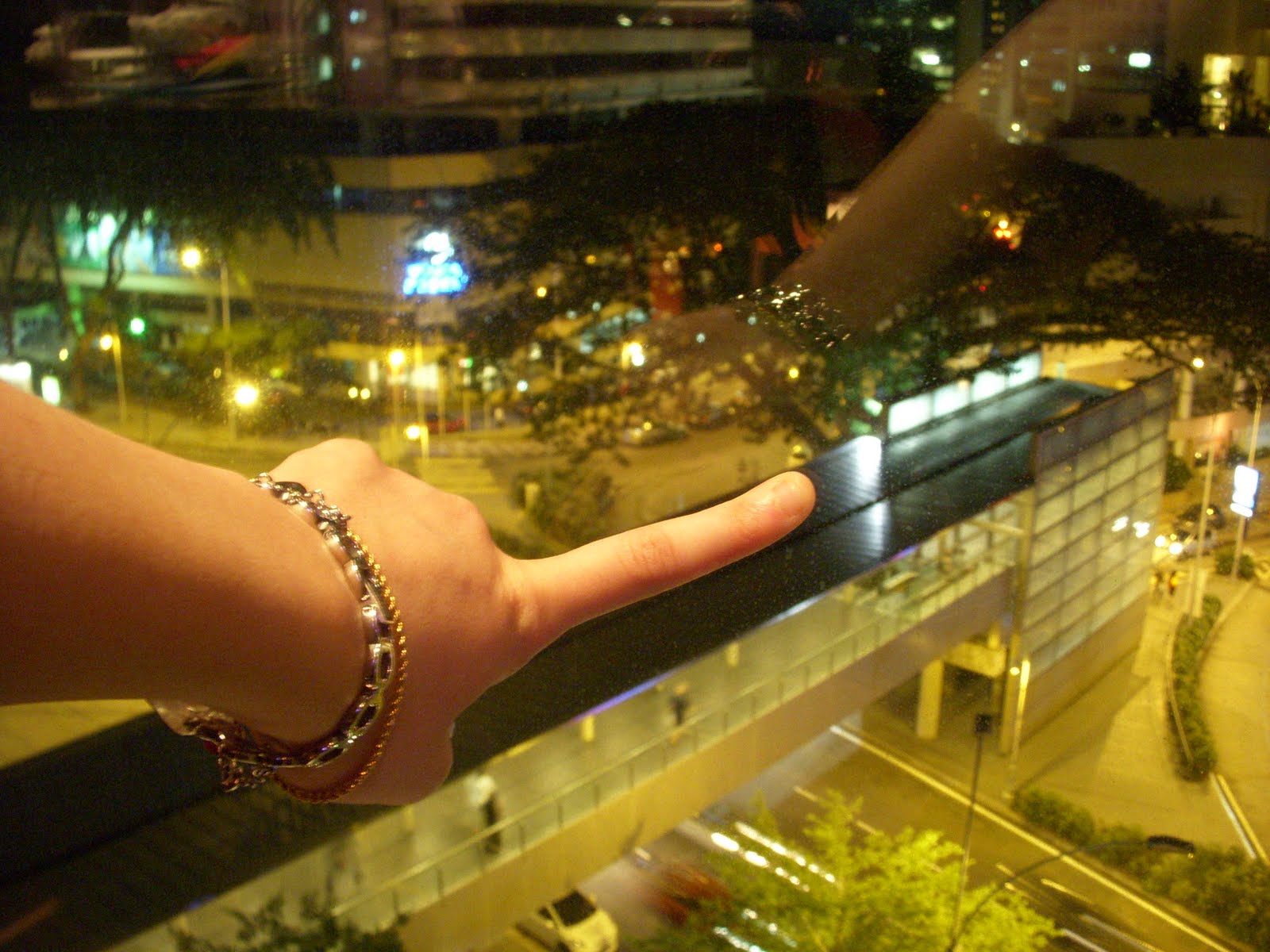 [DSCN0195.JPG]