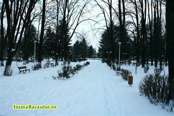 [Parcul+Cancicov+iarna+InimaBacaului+(2).jpg]