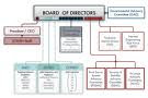 Organizational Structures