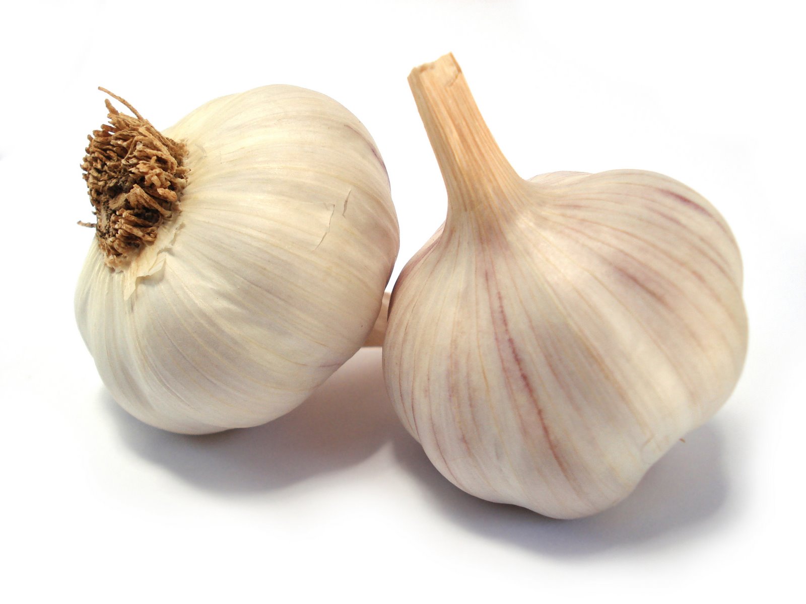 [garlic.jpg]