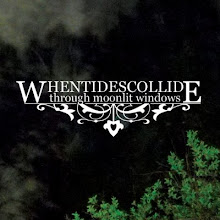 When Tides Collide New Album