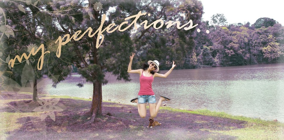 p.e.r.f.e.c.t.i.o.n.s