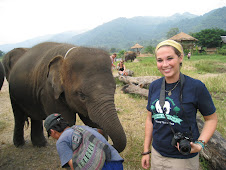 At the Elephant Nature Park