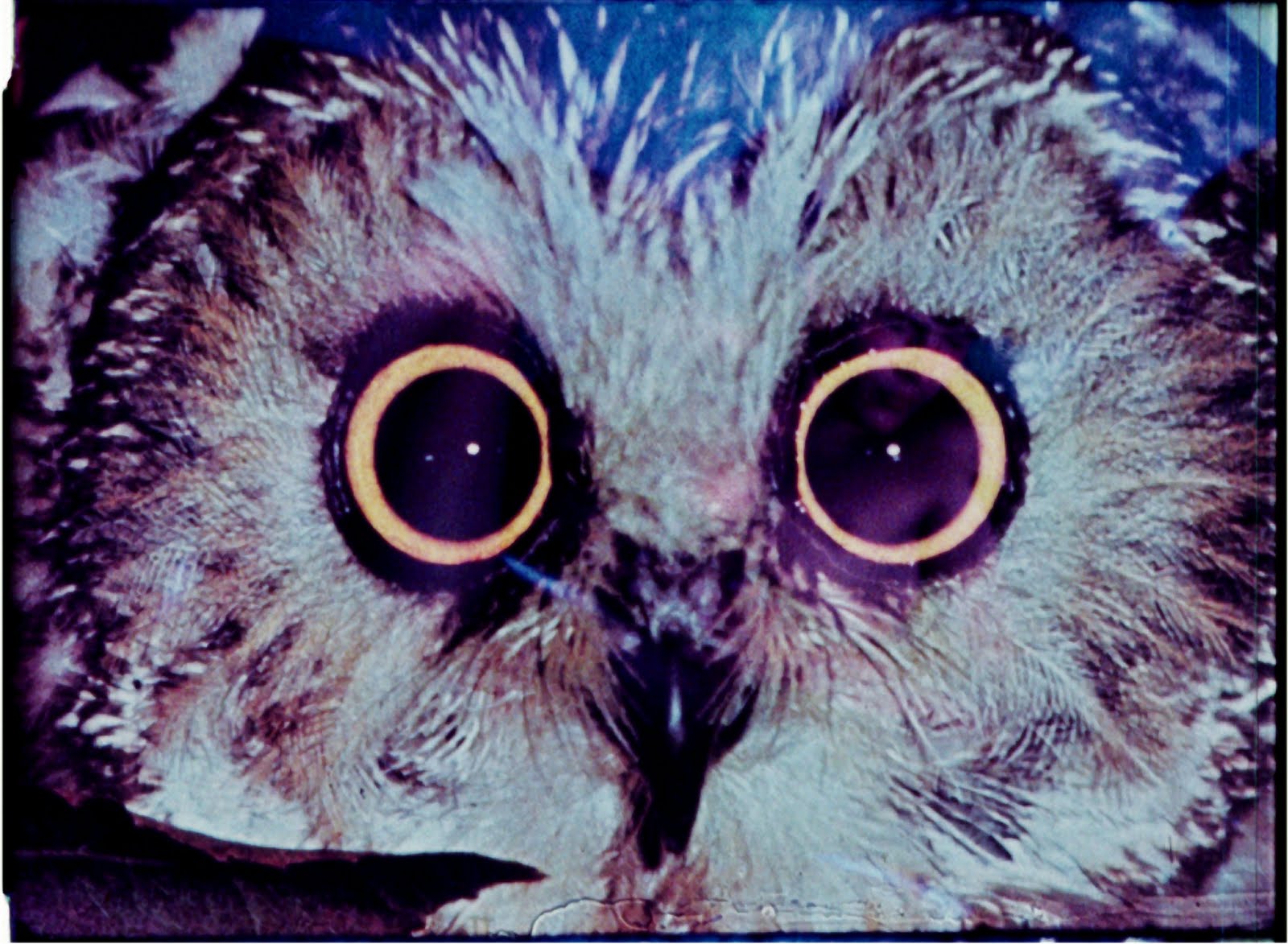 [Invocation+of+my+Demon+Brother'1.JPG]