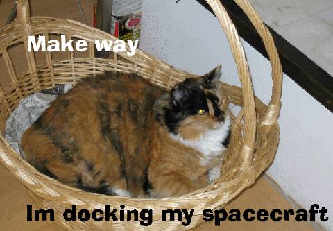 Make way Im docking my spacecraft
