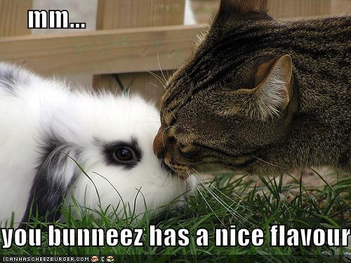 mm.. you bunneez has a nice flavour