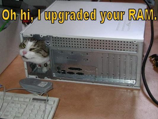 Oh hi I upgraded your RAM