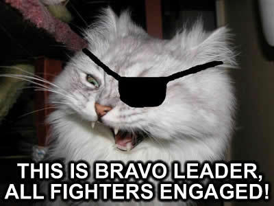 THIS IS BRAVO LEADER, ALL FIGHTERS ENGAGED