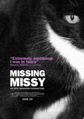 Missy the Cat