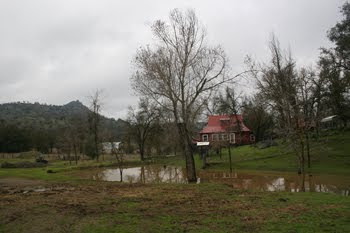 Our little Ranch House