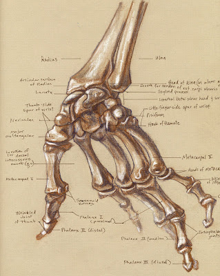 Skeleton Hand Writing