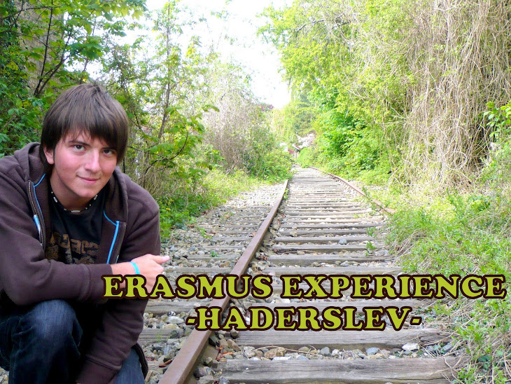 ERASMUS EXPERIENCE