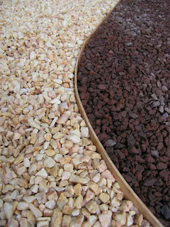 DCHV: JARDINES DESERTICOS