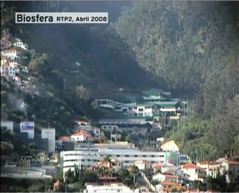 [Madeira+1.bmp]