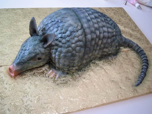 Armadillo Cake Pan