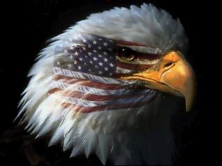 Eagle/Flag