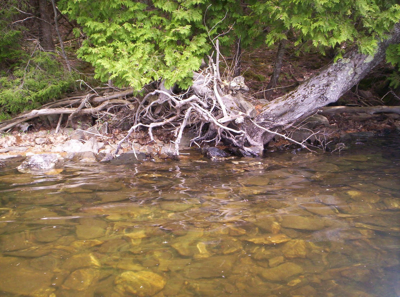 Friends of Sebago Lake China Lake , Maine Department of Environmental