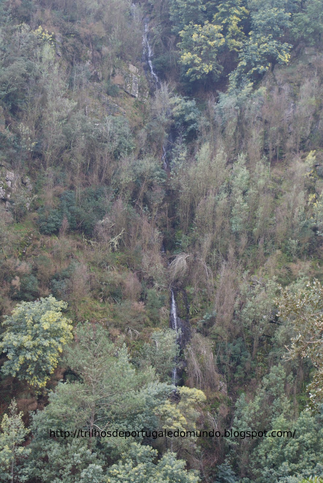 [DSC05652.JPG]