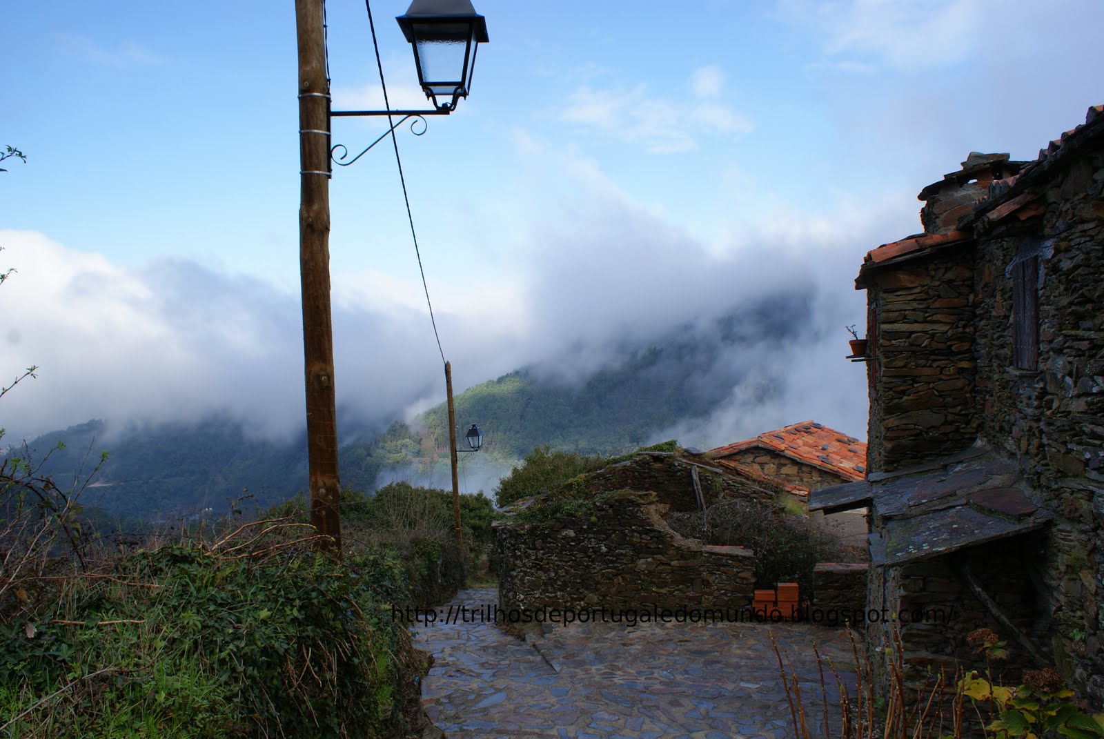 [DSC05614.JPG]