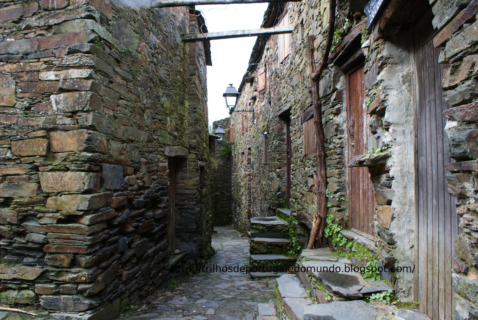[DSC05621.JPG]