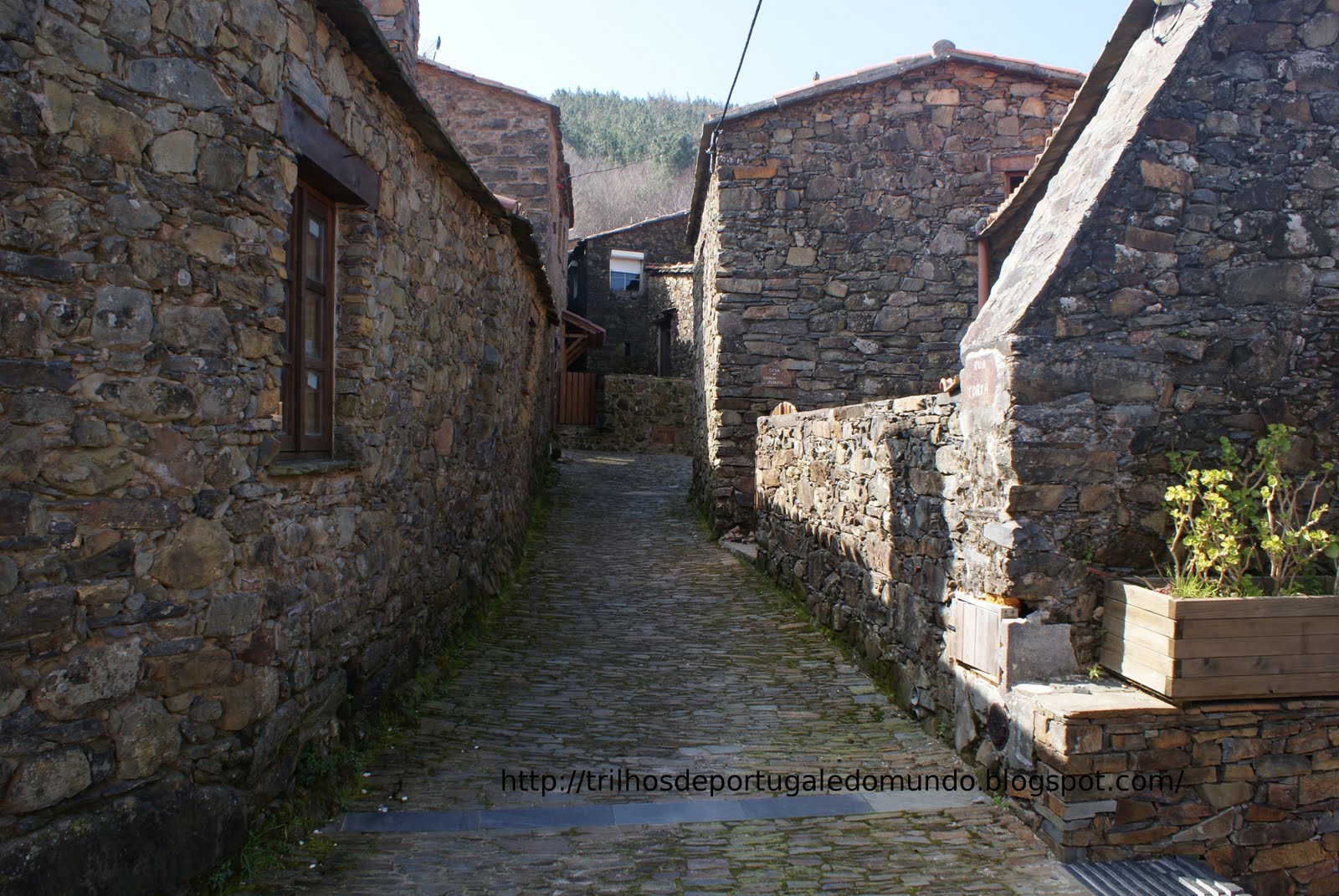 [DSC06090.JPG]
