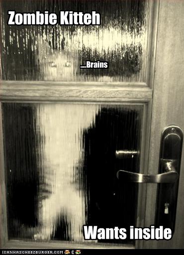 [funny-pictures-cat-is-a-zombie.jpg]