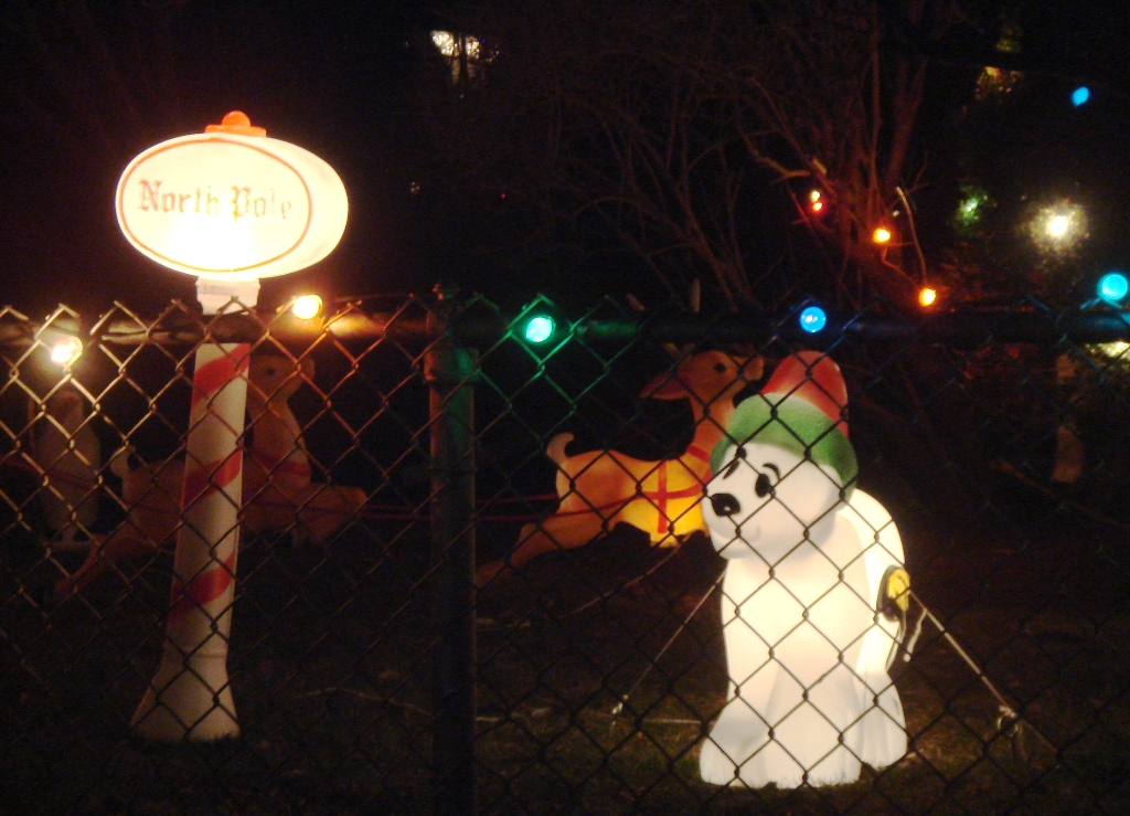 [Rival Close Up.jpg]