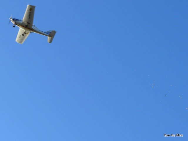 [P1060791-1.JPG]