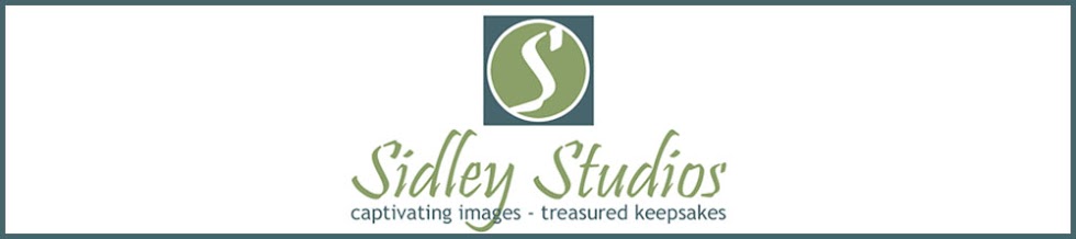 Sidley Studios - The Blog