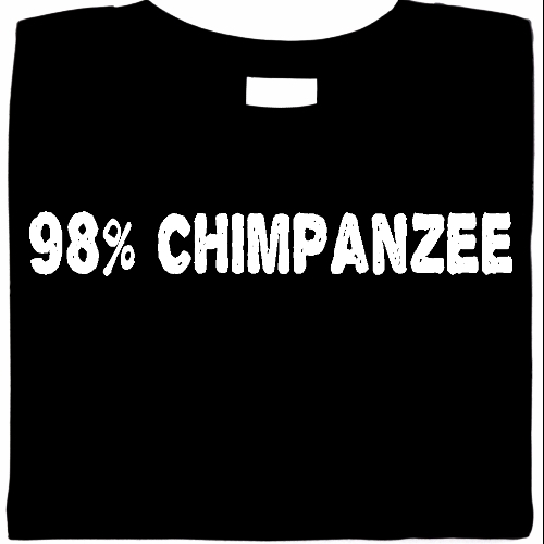 Funny T Shirts | Cool T Shirt | Custom T Shirts Funny T Shirts | Cool T Shirt | Custom T Shirts