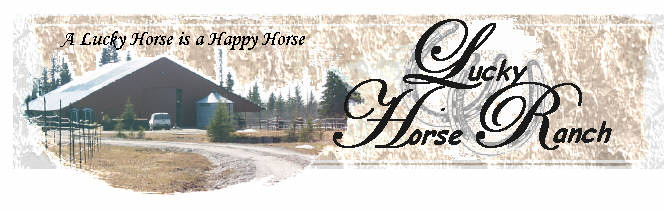 Lucky Horse Ranch News