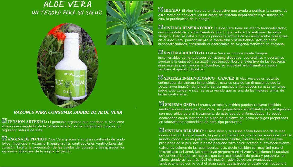 Chia Naturalia , orgánica de México El porque de los beneficios del