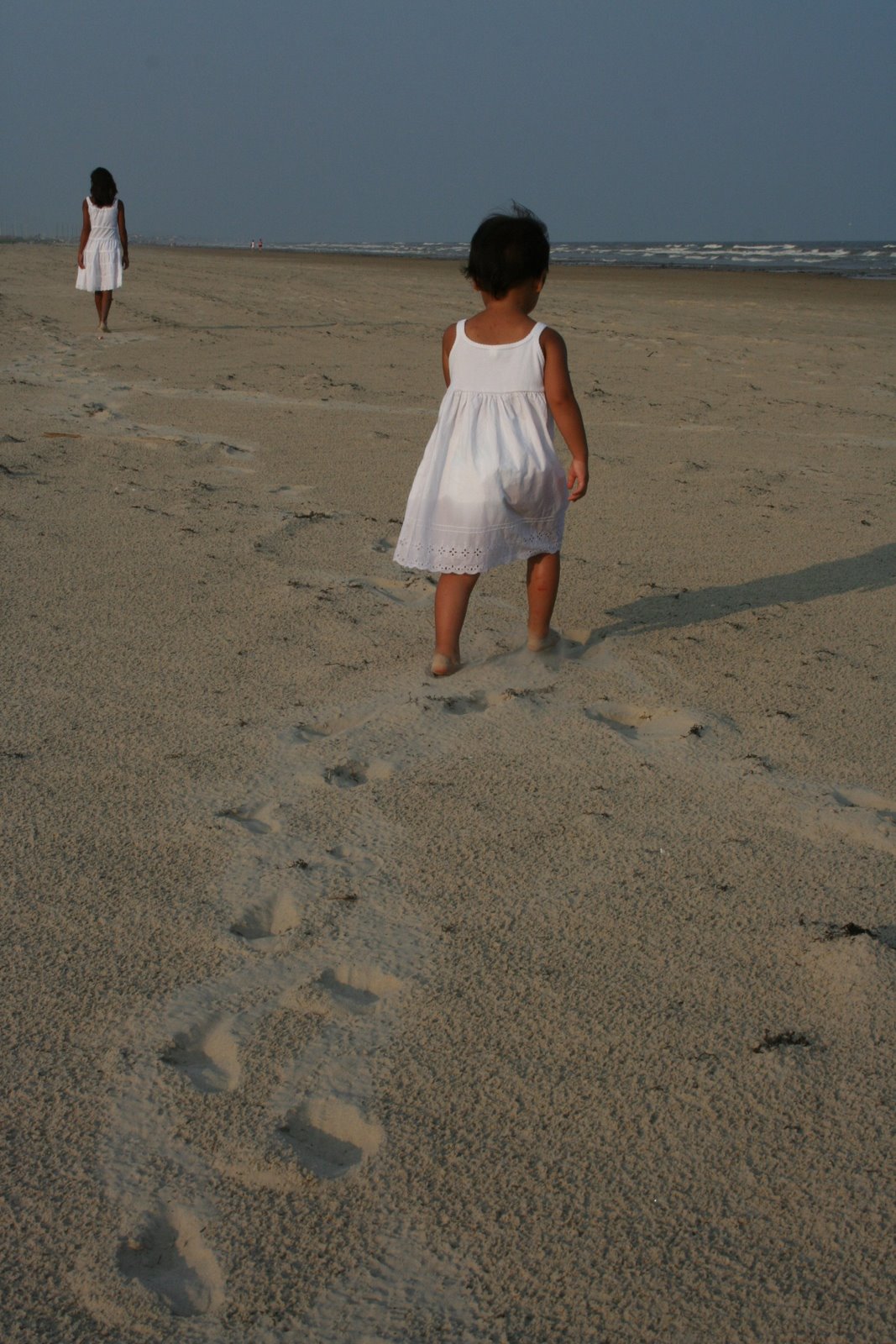 [IMG_9045.JPG]