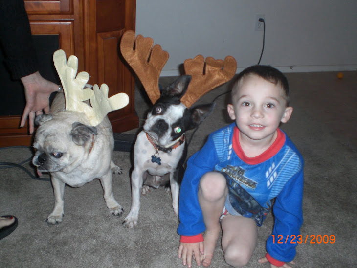 Logan and his puppies 2009