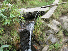 Parque Nacional "El Avila"