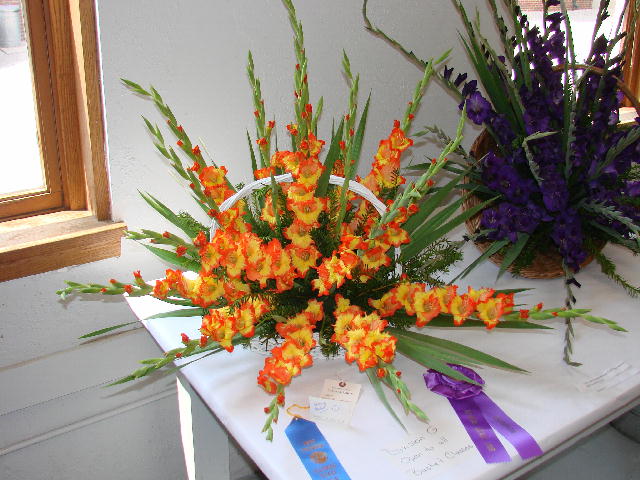 [DSC03429.JPG]