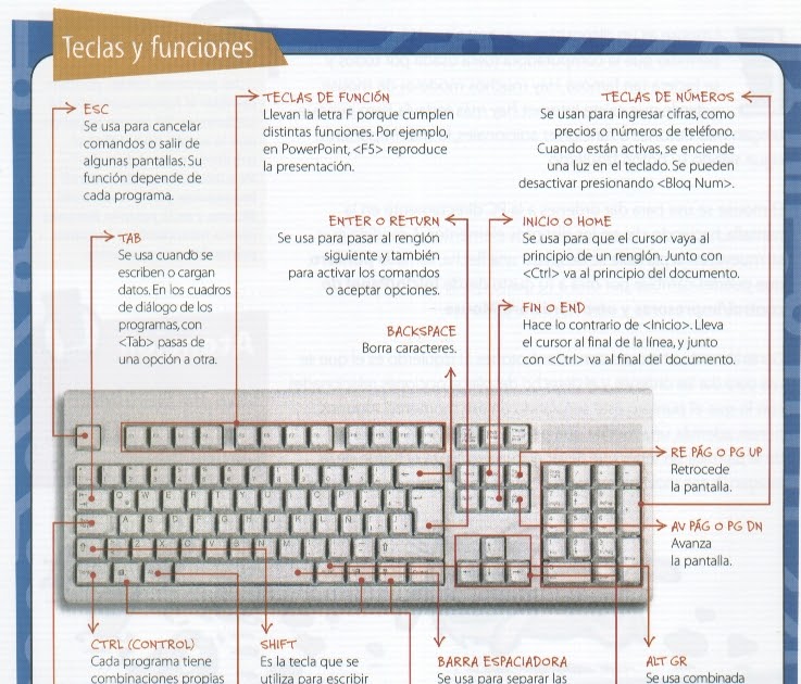 Manual de computación para primaria quinto grado: Procesador de textos