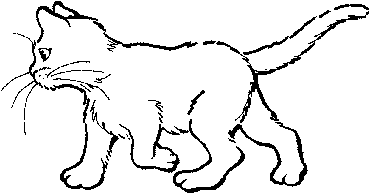 Desenhos de Gatos para Imprimir e Colorir