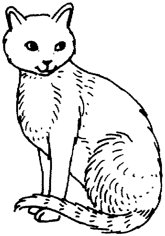 desenhos de gatos para imprimir e colorir desenhos e riscos