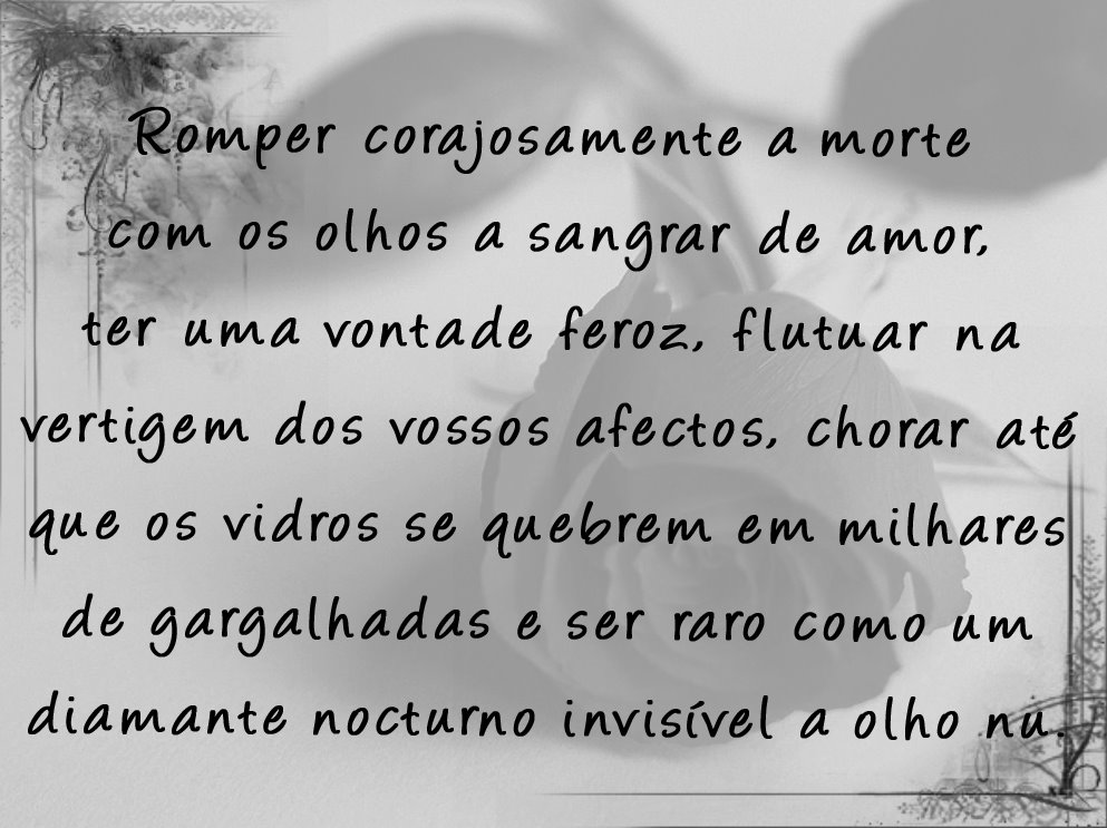 [Rosa+Blog.jpg]