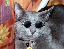 Cat Lennon