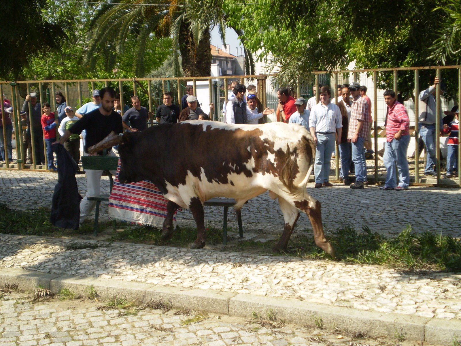 [P4150035.JPG]