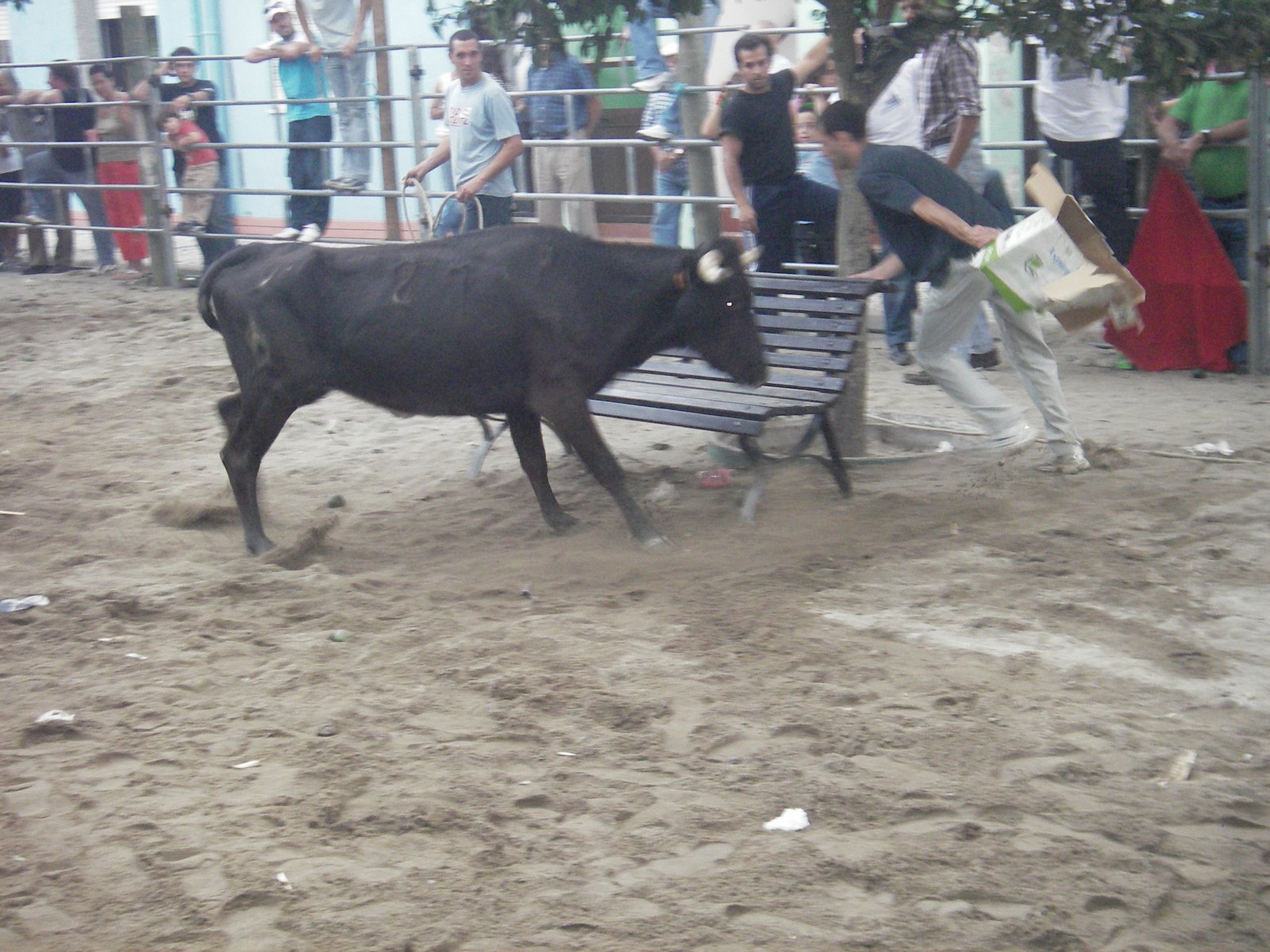 [IMGP1529.JPG]