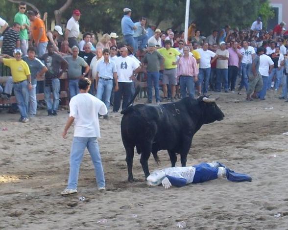 [Sem+títuloazambuja09.JPG]