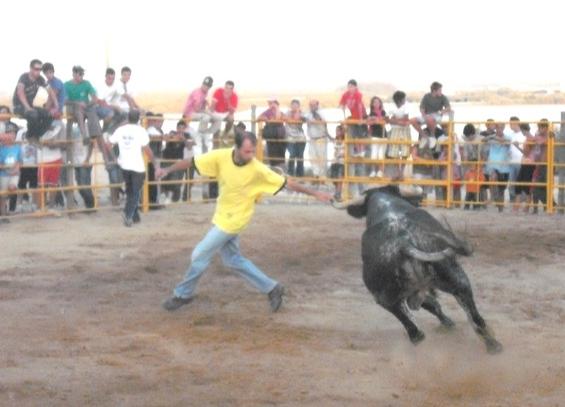 [Sem+títuloze1.JPG]